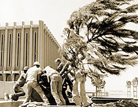 Raising the tree in front of the Library, Fall 1965.